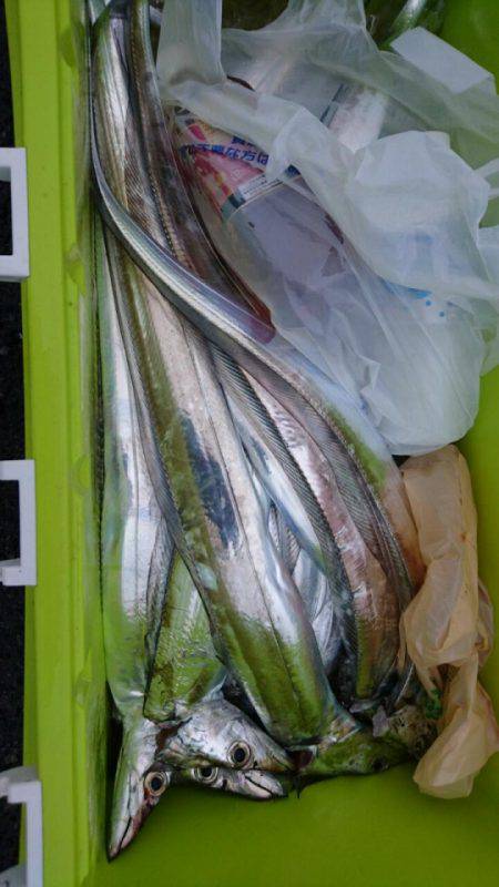 オーフリー 釣果