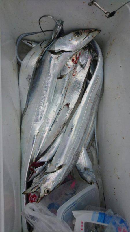 オーフリー 釣果