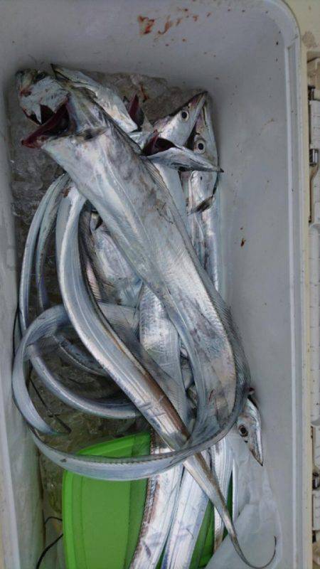 オーフリー 釣果