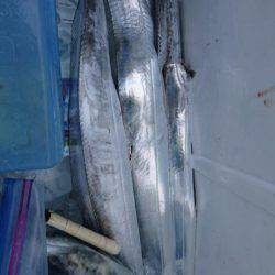 オーフリー 釣果