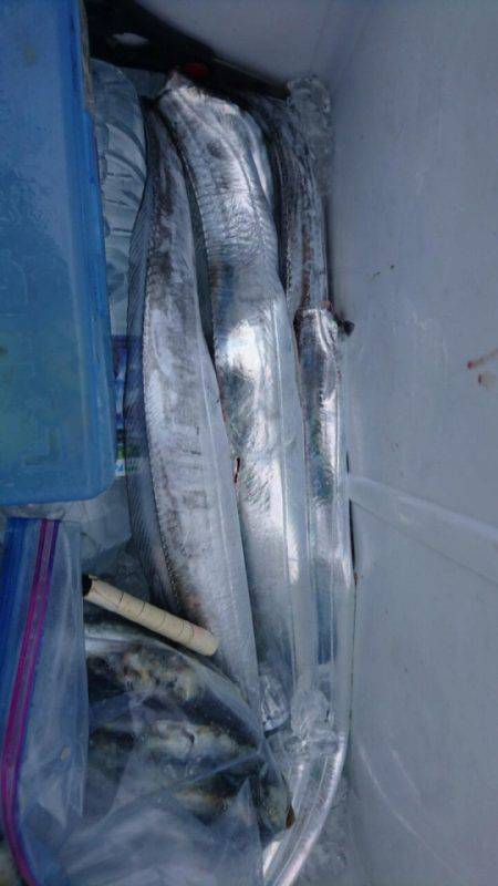 オーフリー 釣果