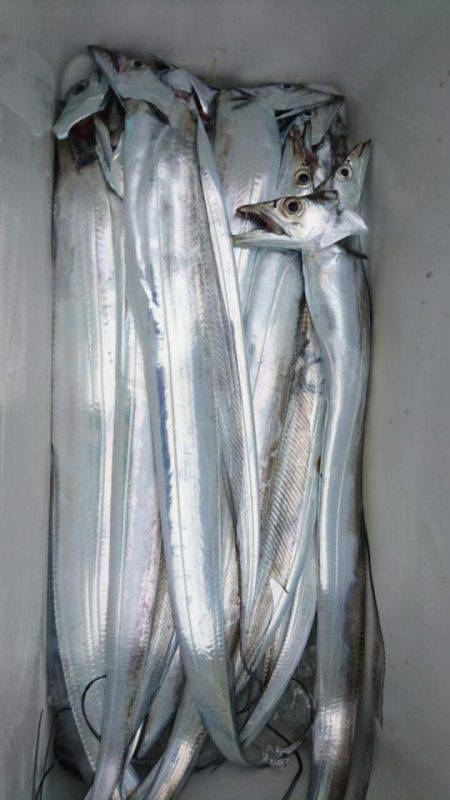 オーフリー 釣果