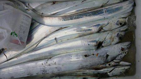 オーフリー 釣果