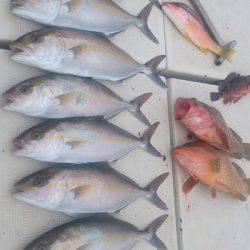 旭星釣りセンター 釣果