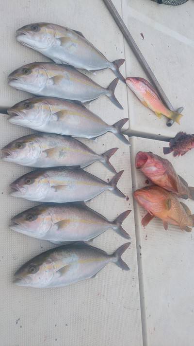 旭星釣りセンター 釣果