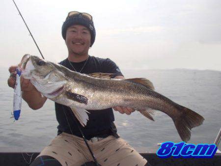 オーシャンマスター 釣果