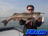 オーシャンマスター 釣果