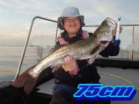 オーシャンマスター 釣果