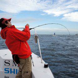 フルコンタクト 釣果