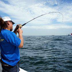 フルコンタクト 釣果