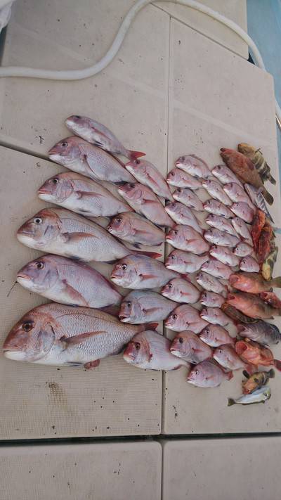 旭星釣りセンター 釣果