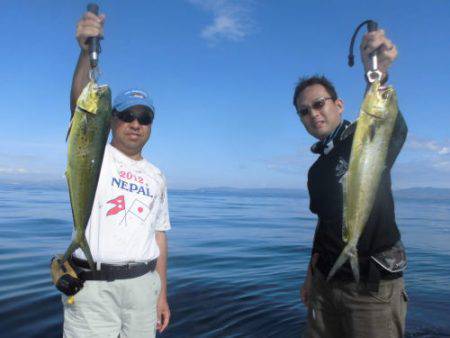 ルアー船マヒマヒ 釣果