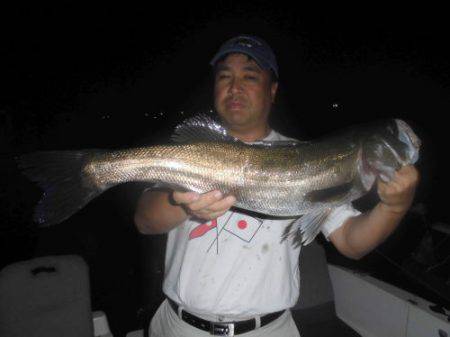 ルアー船マヒマヒ 釣果