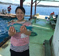 本部釣りイカダ 釣果