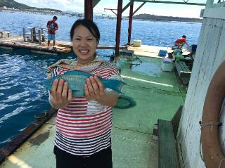 本部釣りイカダ 釣果