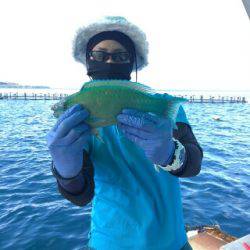 本部釣りイカダ 釣果