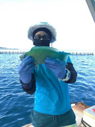 本部釣りイカダ 釣果