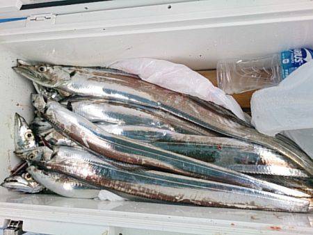 第二常豊丸 釣果