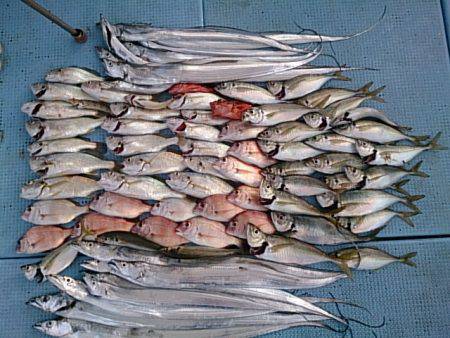 第二常豊丸 釣果