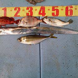 第二常豊丸 釣果