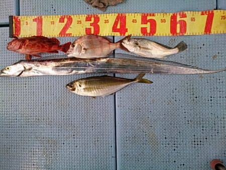 第二常豊丸 釣果