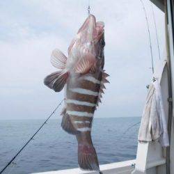 第二一之紀丸（ダイニイチノキマル） 釣果