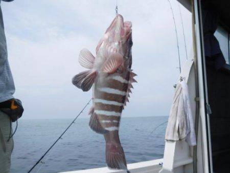 第二一之紀丸（ダイニイチノキマル） 釣果