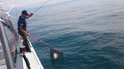 IDATEN（イダテン） 釣果