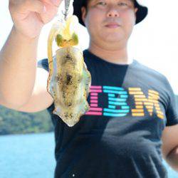 Marine T Design　マリンティーデザイン 釣果