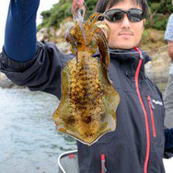 Marine T Design　マリンティーデザイン 釣果