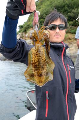 Marine T Design　マリンティ…