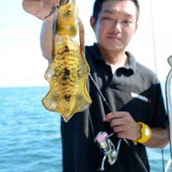 Marine T Design　マリンティーデザイン 釣果