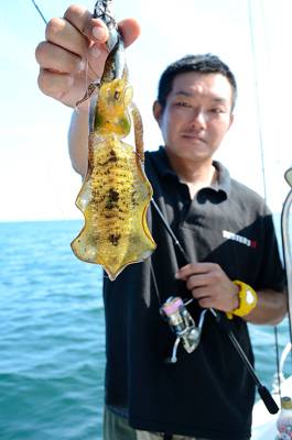 Marine T Design　マリンティーデザイン 釣果