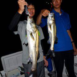 Marine T Design マリンティーデザイン 釣果