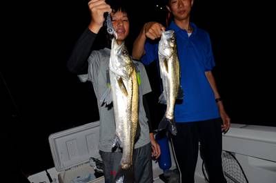 Marine T Design マリンティーデザイン 釣果