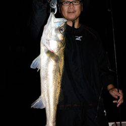 Marine T Design マリンティーデザイン 釣果