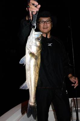 Marine T Design マリンティーデザイン 釣果