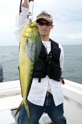 Marine T Design　マリンティ…