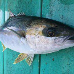 広進丸 釣果