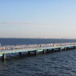 オリジナルメーカー海づり公園(市原市海づり施設) 釣果