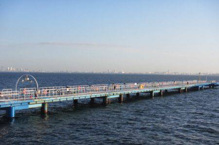 オリジナルメーカー海づり公園(市原市海づり施設) 釣果