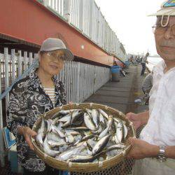 尼崎市立魚つり公園 釣果