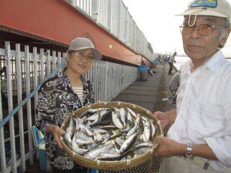 尼崎市立魚つり公園 釣果