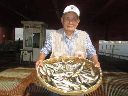 尼崎市立魚つり公園 釣果