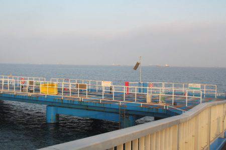 オリジナルメーカー海づり公園(市原市海づり施設) 釣果