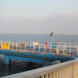 オリジナルメーカー海づり公園(市原市海づり施設) 釣果