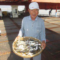 尼崎市立魚つり公園 釣果