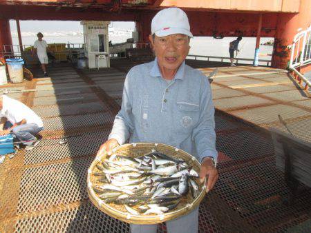 尼崎市立魚つり公園 釣果