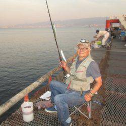 尼崎市立魚つり公園 釣果