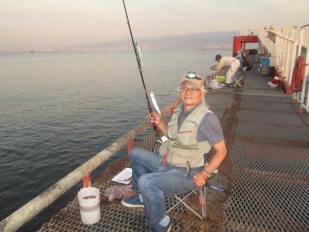 尼崎市立魚つり公園 釣果